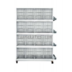 Model 1 T     (60cm) Teklemeli PVC Rulolu Üretim Kafesi Model 1 T     (60cm) Teklemeli PVC Rulolu Üretim Kafesi