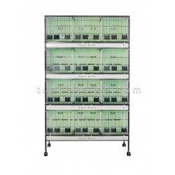 Model 91 Profesyonel Kuş Yetiştirme Sistemi - Üretim Verimliliği İçin Tasarım