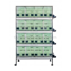 Model 92 Profesyonel Kuş Üretim Kafesi - Akıllı Bölme Sistemi