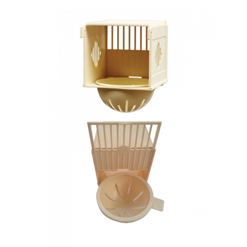 Kanarya Ispınoz Dış Yuva