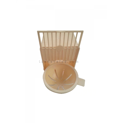 Kanarya Ispınoz Dış Yuva